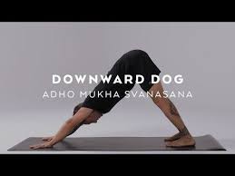 How To Do Downward Dog Adho Mukha Svanasana Tutorial With Dylan Werner Youtube Downward Dog Yoga Downward Dog Online Yoga Videos