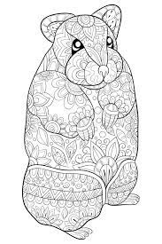 Check spelling or type a new query. Cute Hamster Coloring Stock Illustrations 247 Cute Hamster Coloring Stock Illustrations Vectors Clipart Dreamstime