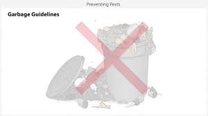 Move cardboard boxes and check their. Stand Up Training Waste Management