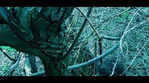 This is the official movie of house of the scorpion, those who have read the book will enjoy this. House Of The Scorpion The Movie Unofficial Trailer Youtube