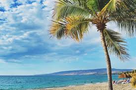 View From My Beach Chair Picture Of Royal Decameron Indigo Beach Resort Spa Haiti Tripadvisor