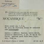 Image result for Afrosciadium nyassicum