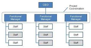 Functional Organizational Structure Advantages And
