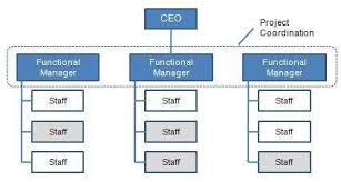 principles of organization management organizational