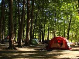 For cabins/yurts/camping cottages tents, camping trailers and recreation vehicles are not permitted in the area. Camping Vacation In The Black Forest