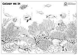 Children will be able to identify different type of living organisms based on distinguished characteristics. Fishy Fun Sheet Coral Reef With Fish Colour In Department Of Primary Industries And Regional Development