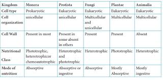 Whittaker organized organisms into five kingdoms. Short Answer Type Questionswhat Are The Characteristics That Differentiate Animals Plants And Fungi From Each Other