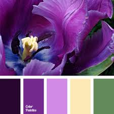 Purple is one of the rarest naturally occurring colors, and dark purple was historically associated with power, prestige, and great expense. Purple Colour Page 2 Of 2 Color Palette Ideas