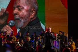 7,447 Silva Fotos de stock