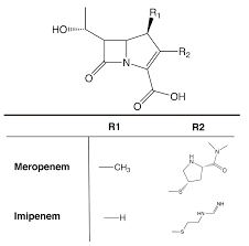 Let us know in the comments which other ce. Biomolecules Free Full Text Carbapenemases Transforming Acinetobacter Baumannii Into A Yet More Dangerous Menace Html