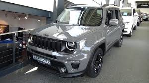 Image result for Sting Grey 2020 Renegade