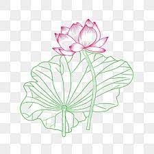 Lotus Vector Material Lotus Clipart Lotus Linear Png Transparent Clipart Image And Psd File For Free Download Lotus Vector Butterflies Vector Lotus Flower Logo