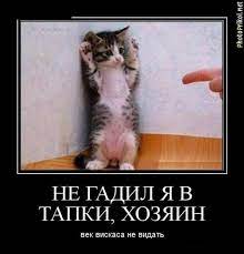 Демотиваторы. - bigmir)net
