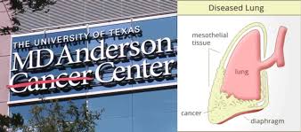 Best hospital for treatment of mesothelioma. List Of Top 10 Best Mesothelioma Hospitals In The World