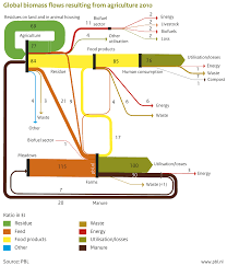 Biomass Sankey Diagrams