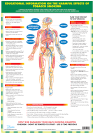 jan roscoe publications categories posters wall charts