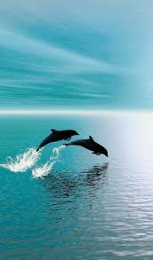 Dolphins In 2020 Underwater Animals Animals Animal Wallpaper