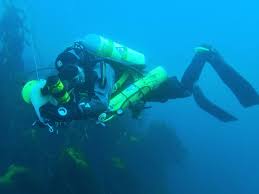 Subscribe to help me pick up more trash: Solo Diving Wikipedia