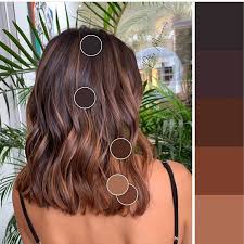 A popular option among women over 50 is also blending gray hair with highlights and lowlights. Hairstyle Ideen Fur Ideen Graduierung Hairstyle Wenn Wachst Aus Fringe Hairstyle Ideen Fur 55 Hair Styles Beauty Hair Color Brown Hair Balayage