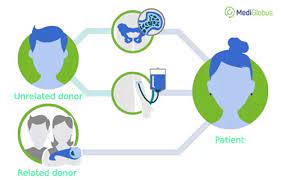 Be the one to save a life ®. Price Of Bone Marrow Transplantation Mediglobus