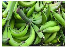 Image result for Musa paradisiaca