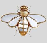 Insecte resine - Etsy México