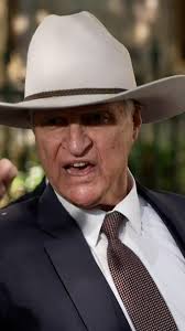 A mechanic has popped up in Mona Vale, in Sydney's Northern Beaches, with a  campaign of his own