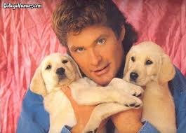 Hall of Fame : Holy City Kickball