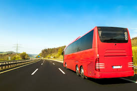 Aumentan viajes en bus tras mayor apertura