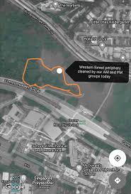 Dover Ulu Pandan Forest Recce And Voluntary Clean Up Events Nature And Us