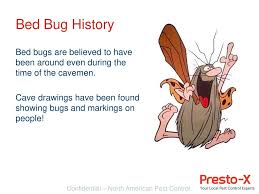 They feed on blood and can easily hide their thin bodies in small openings and crevices. Our Approach As The Experts In Pest Control Our Proactive Approach To Bed Bugs Involves Education Early Detection And Proven Eradication Methods Our Ppt Download