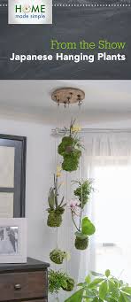 Make A Statement With Our Japanese Hanging Plants Project For More Fun Diy Projects Watch Home Made Simple Satu Hanging Plants Indoor Plants Bathroom Plants