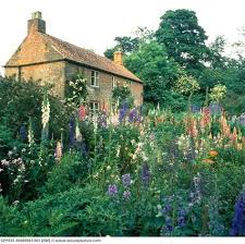 Still Waters Notes From A Virginia Shire Cottage Garden Dream Garden English Cottage Garden