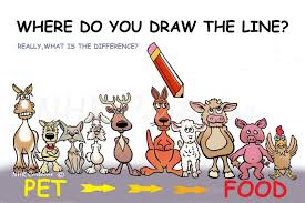 Pin By Lindy Marie On Political Art Animal Welfare Food Animals Animal Activism