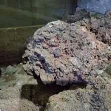 Daftar isiharga batu kali asli4 jenis batu kalibatu kali belahbaru blondosbatu kali bulatbatu karangharga batu alam kaliharga batu kali aquascapeharga batu kali belah per trukharga batu kalimayaharga batu kali hiasharga. Pumice Batu Apung Putih 3 5cm 1kg Shopee Indonesia