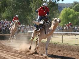 But when it comes to top speed horses win. Camel Quarkus 1 5 0 Released Apache Camel