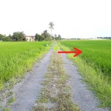 Yang kebetulan adalah paman saya sendiri, pokoknya dijamin aman. Ad Categories Kedah