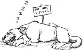 Let sleeping dogs lie