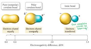 Below you will find listed the 20 statements you student exploration ionic bonds gizmo answer key free ebook. What Is The Main Difference Between An Ionic And Covalent Bond Quizlet