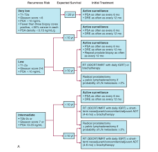 Being armed with information is vital to begin the fight. Prostate Cancer Practiceupdate