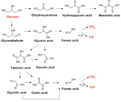 5 Illustrative Suggested Pathways For Glycerol Electro Oxidation Download Scientific Diagram
