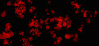 We did not find results for: Blood Splatter By C Sparkle The Rebel On Deviantart