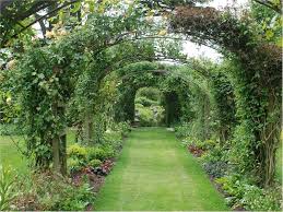 Orchard Design Ideas 2 Orchard Design Ideas Orchard Design Landscaping Inspiration Cottage Garden