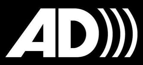 Introduction to Audio Description — Bridget Melton
