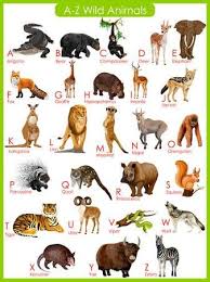 Easy To Edit Vector Illustration Of Chart Of A To Z Wild Animals Animal Pictures For Kids Wild Animals Photos Wild Animals List