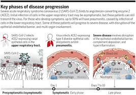 Coronaviruses (cov) are a large family of viruses causing illness weeks after experts suggested a loss or change in your sense smell or taste could indicate infection, the nhs added these to its list of symptoms. How Does Sars Cov 2 Cause Covid 19 Science