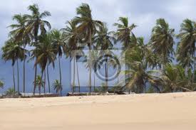 Strand urlaub in italien, türkei oder greece hallo, ich suche eine weibliche begleitung die lust auf eine woche strandurlaub hat. Tropische Sturm Am Azuretti Strand In Grand Bassam Elfenbeinkuste Leinwandbilder Bilder Tropensturm Palme Atlantik Myloview De