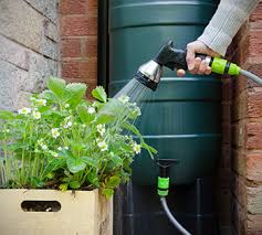 Rain barrels, which are especially useful for lawns and gardens during droughts or to move excess water away from your house when the barrel gets full, install a rain diverter. Safe Use Of Rain Barrel Water Is It Safe To Water Produce With Rain Barrel Water