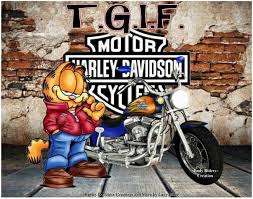 Garfield On A Harley Harley Davidson Bikes Harley Davidson Wallpaper Harley Davidson Motorcycles