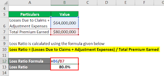 Loss run reports are produced by insurance carriers and provide a history of your business insurance claims. Loss Ratio Formula Calculator Example With Excel Template